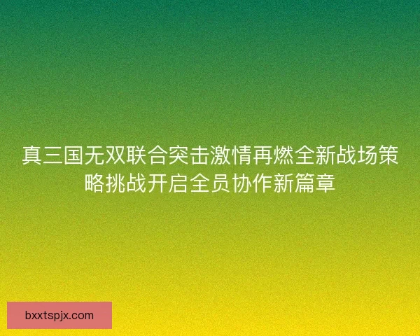 真三国无双联合突击激情再燃全新战场策略挑战开启全员协作新篇章